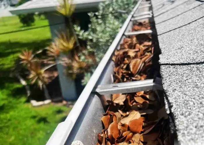 Forestdale gutter cleaning home page